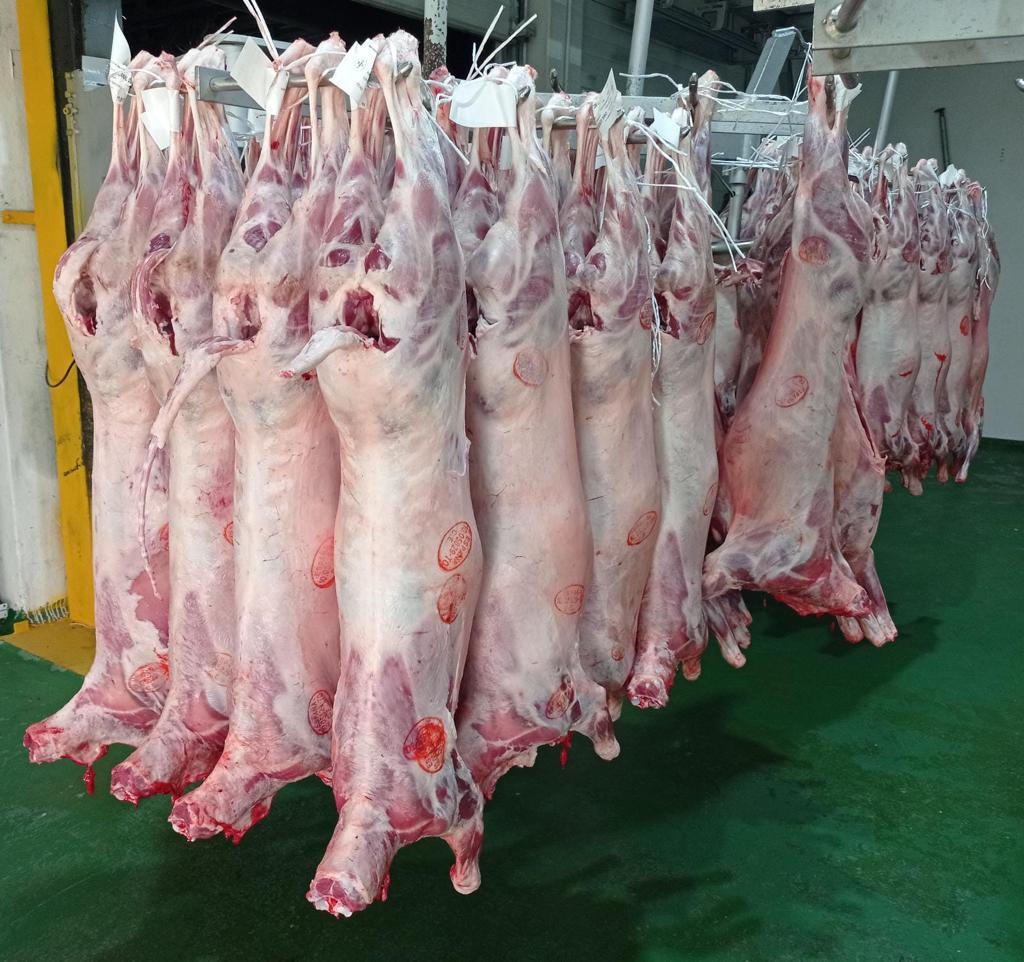 Processus d'abattage